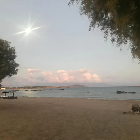 φρίνη