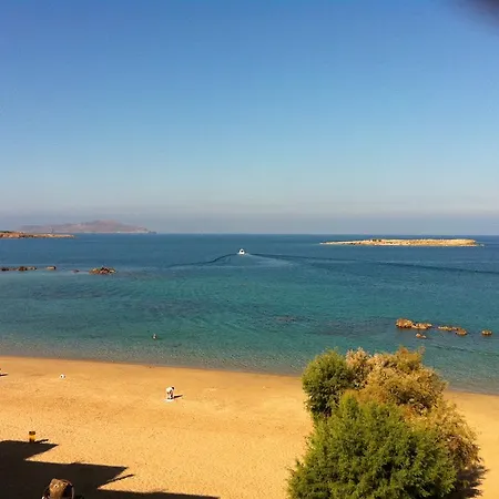 φρίνη